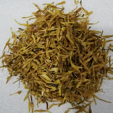 素馨花冷背中药材一千余种