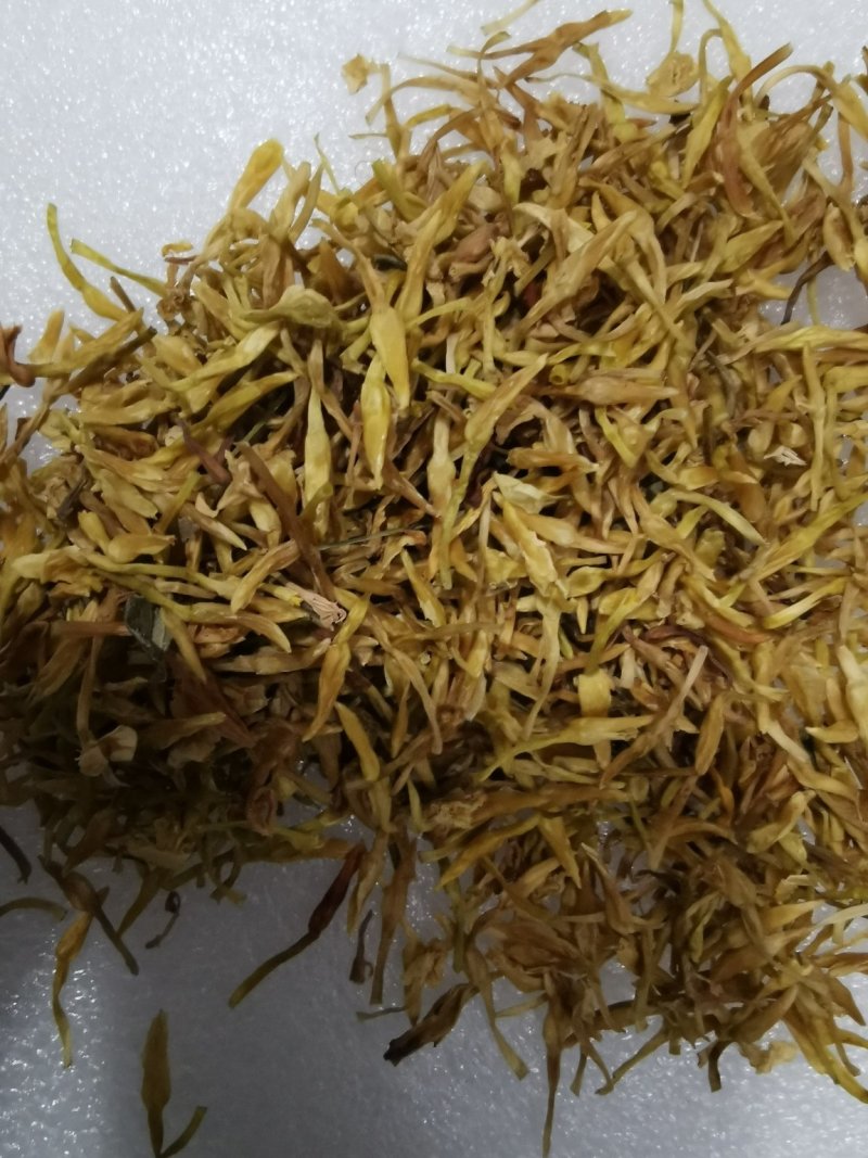 素馨花冷背中药材一千余种