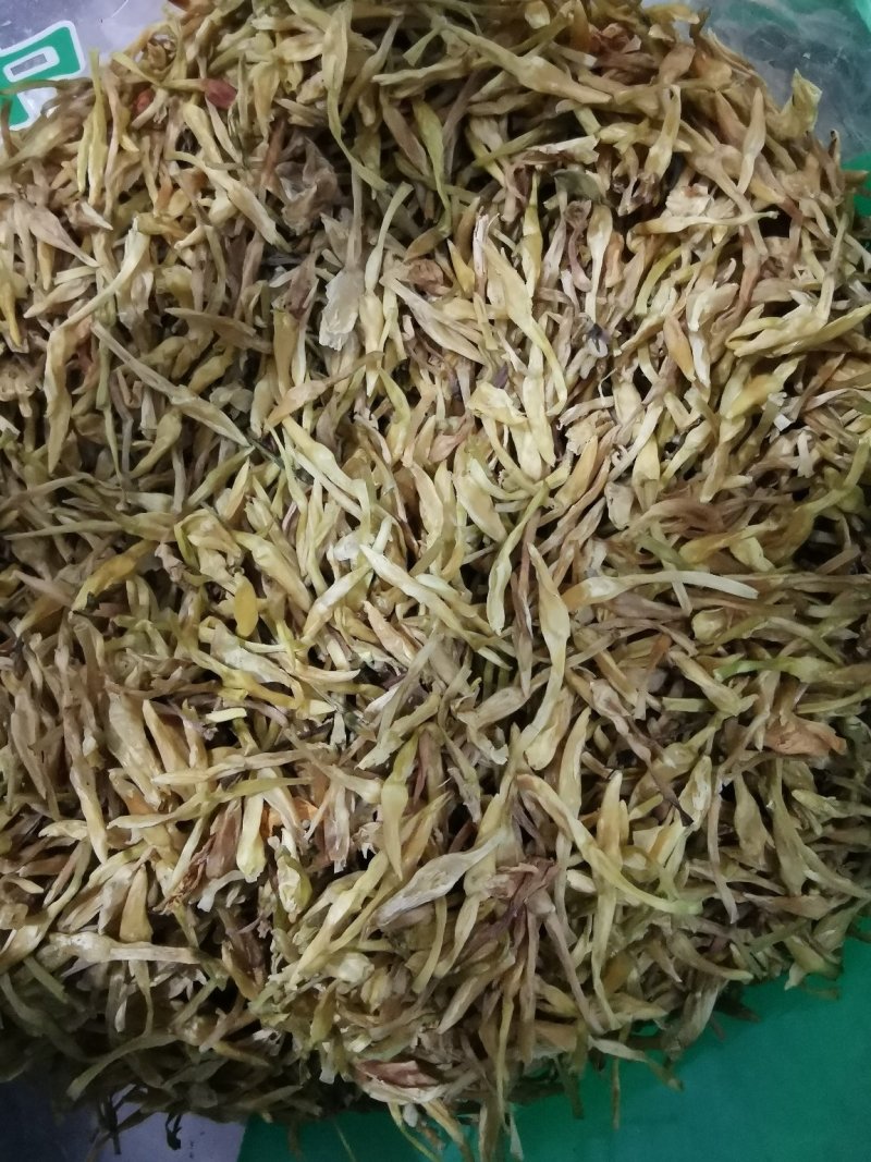 素馨花冷背中药材一千余种