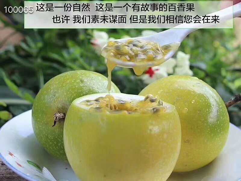 海南黄金百香果钦蜜九号黄皮百香果非福建