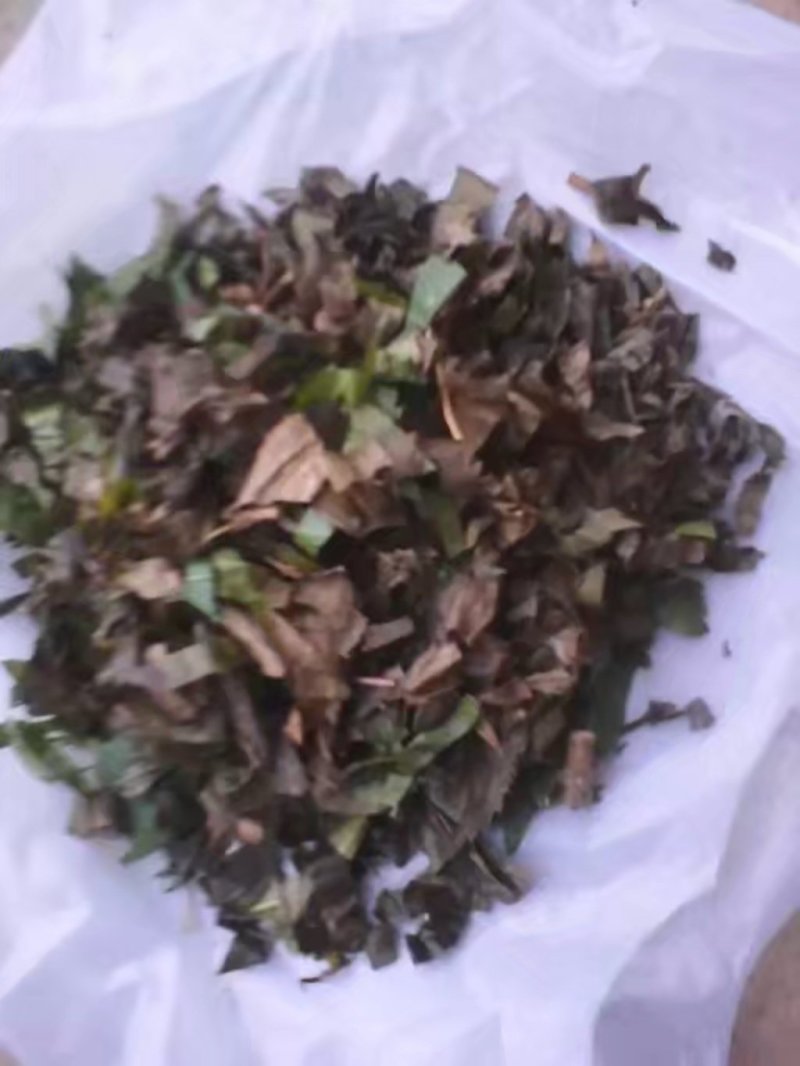 去湿草。传承千百年来的醒头草。长期供应，做枕头专用