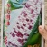 东方明珠花甜糯