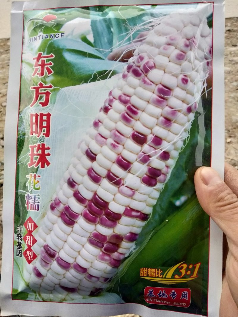 东方明珠花甜糯