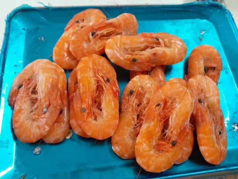 南美白对虾