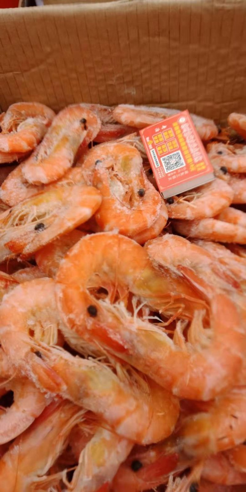 南美白对虾