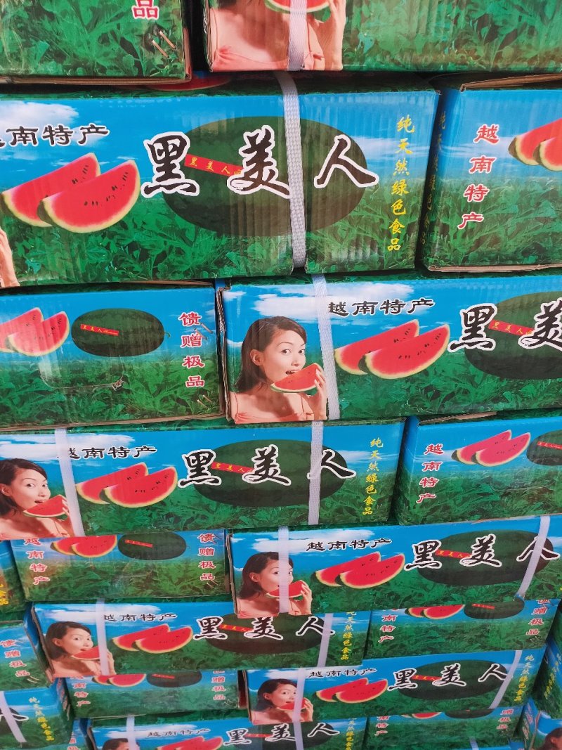 黑美人西瓜