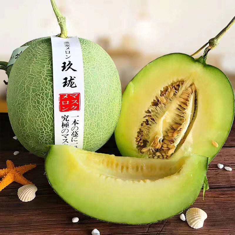 海南新鲜水果三亚网纹瓜粗纹瓜玫珑瓜电商社区平台代发