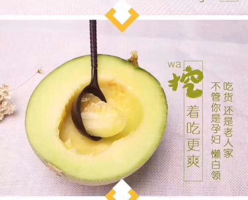 海南新鲜水果三亚网纹瓜粗纹瓜玫珑瓜电商社区平台代发
