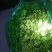 铁杆青小叶香菜涨价局势！！！