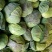 陕西包包菜包菜莲花白1～2斤公斤现货量大