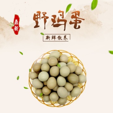 新鲜野鸡蛋山鸡蛋全国一件发货