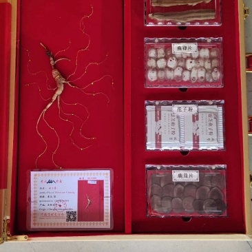 精品人参小包装林下参五宝盒灵芝孢子粉人参片