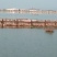 水库淡水养殖大青鱼批发