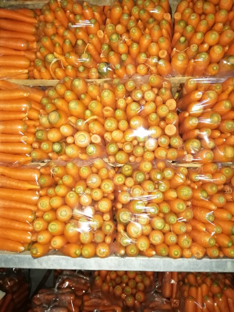 胡萝卜，大量上市，产地直售，大量供应，货源充足
