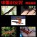 观赏鱼类东方蝾螈小火鱼清道夫批发包邮包活跑江湖