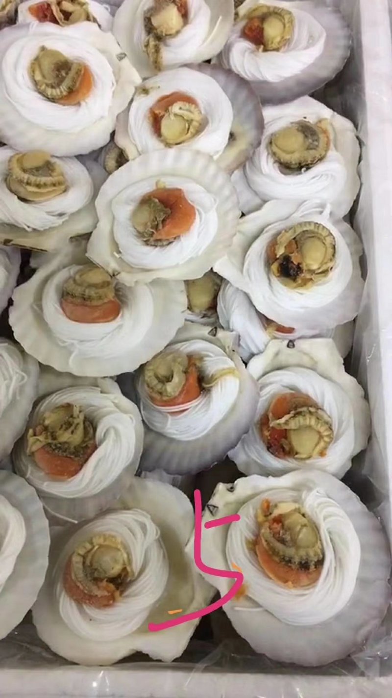 粉丝贝，鲜活速冻，可蒜蓉酱篜烤。冷链物流全国配送。