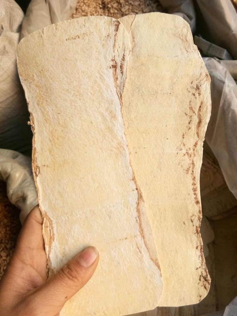 黄芪大压片甘肃无硫熏质量货24时发货
