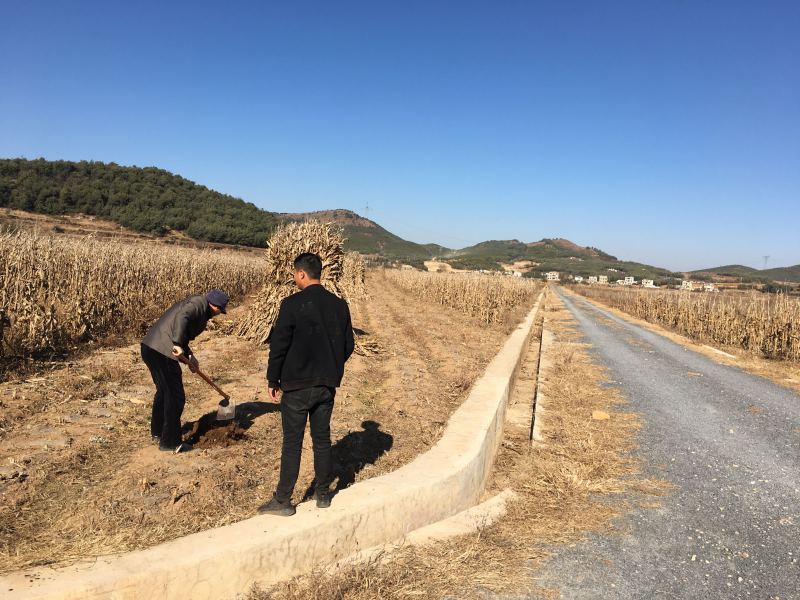 曲靖市马龙区200亩蔬菜基地出租