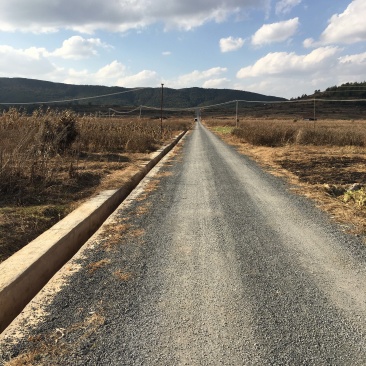 曲靖市马龙区200亩蔬菜基地出租