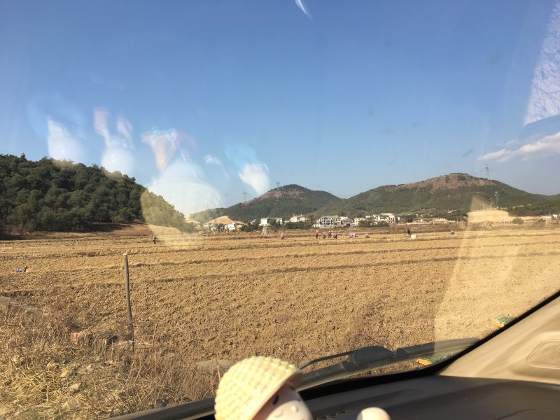 曲靖市马龙区200亩蔬菜基地出租