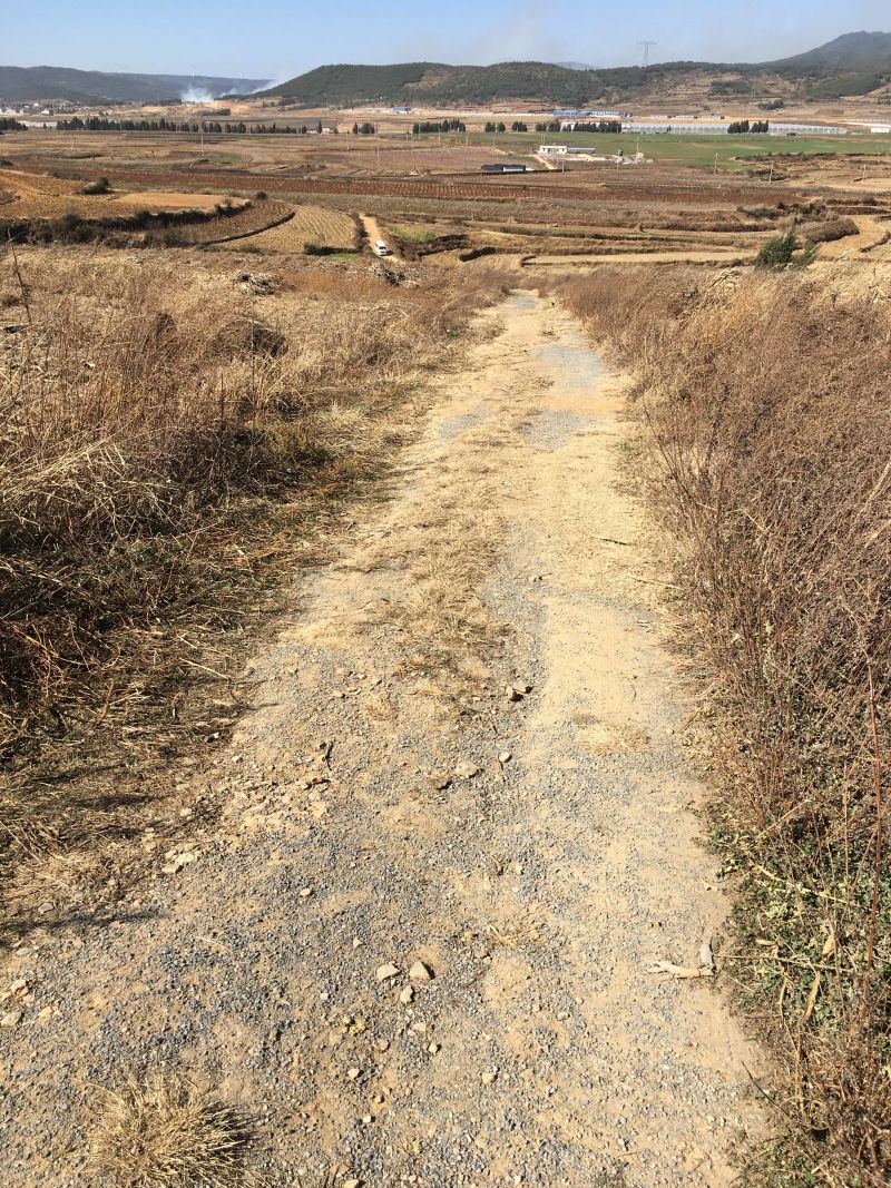 曲靖市马龙区200亩蔬菜基地出租