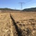 曲靖市马龙区200亩蔬菜基地出租
