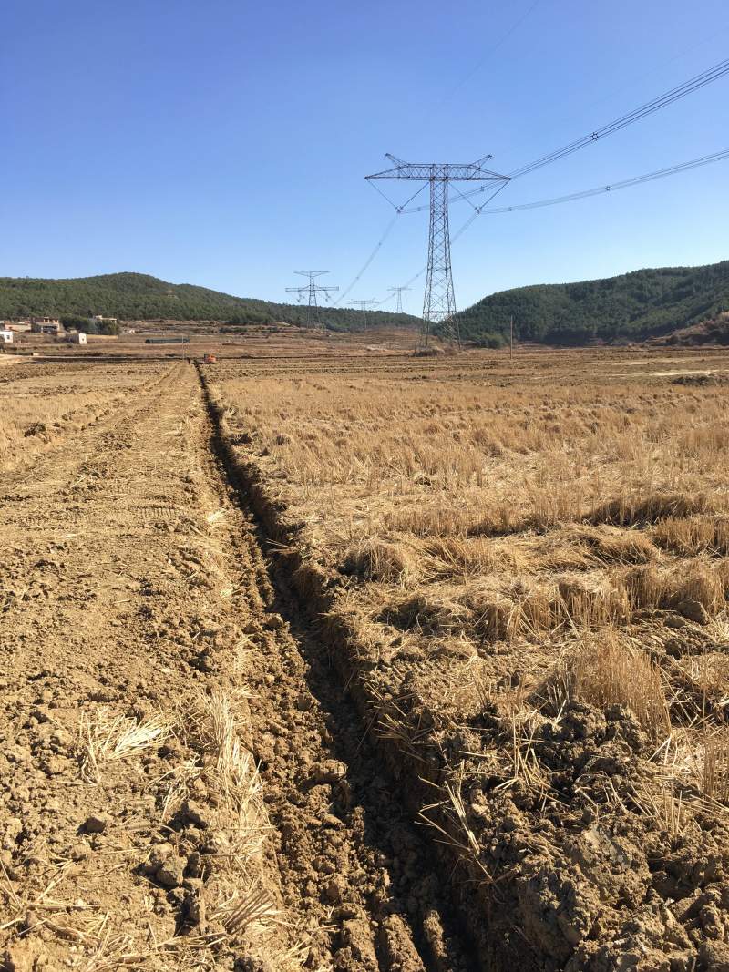 曲靖市马龙区200亩蔬菜基地出租