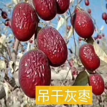 自家原装灰枣