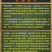 【包邮】乾德456强雌油亮春秋茬口栽培黄瓜
