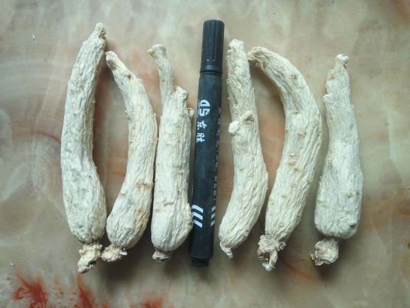 精品东洋大力参白皮红心特质加工长年出售及加工
