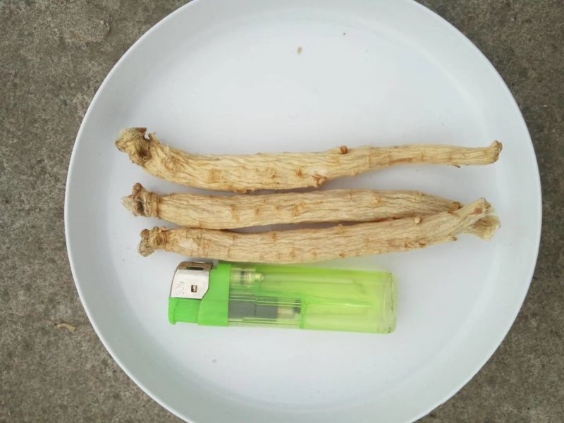 精品东洋大力参白皮红心特质加工长年出售及加工