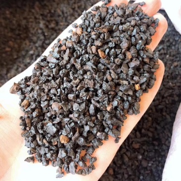 长白山野生桦树茸白树蓉天然胰岛素糖尿病克星
