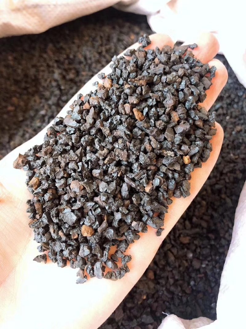 长白山野生桦树茸白树蓉天然胰岛素糖尿病克星