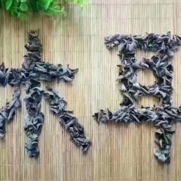东北纯木段木耳清肺化痰喜欢的看过来