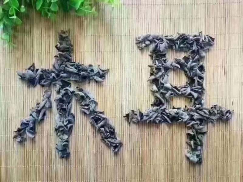 东北纯木段木耳清肺化痰喜欢的看过来