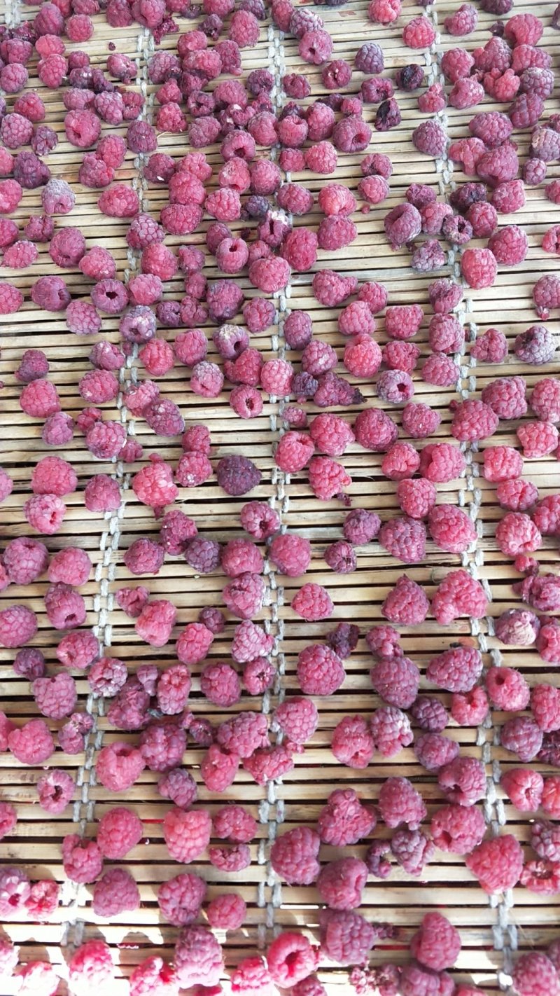 树莓覆盆子自然晾晒高档水果