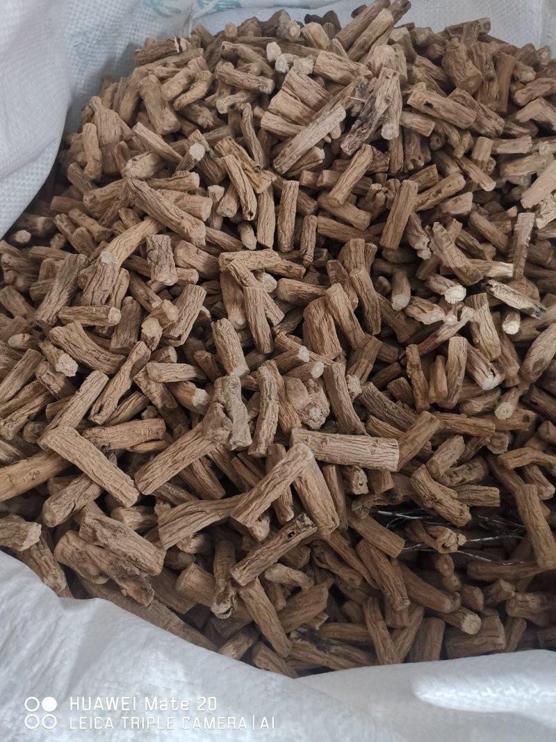 纯吉林东党，党参种子保证质量，产量高，品质好，含量足大白