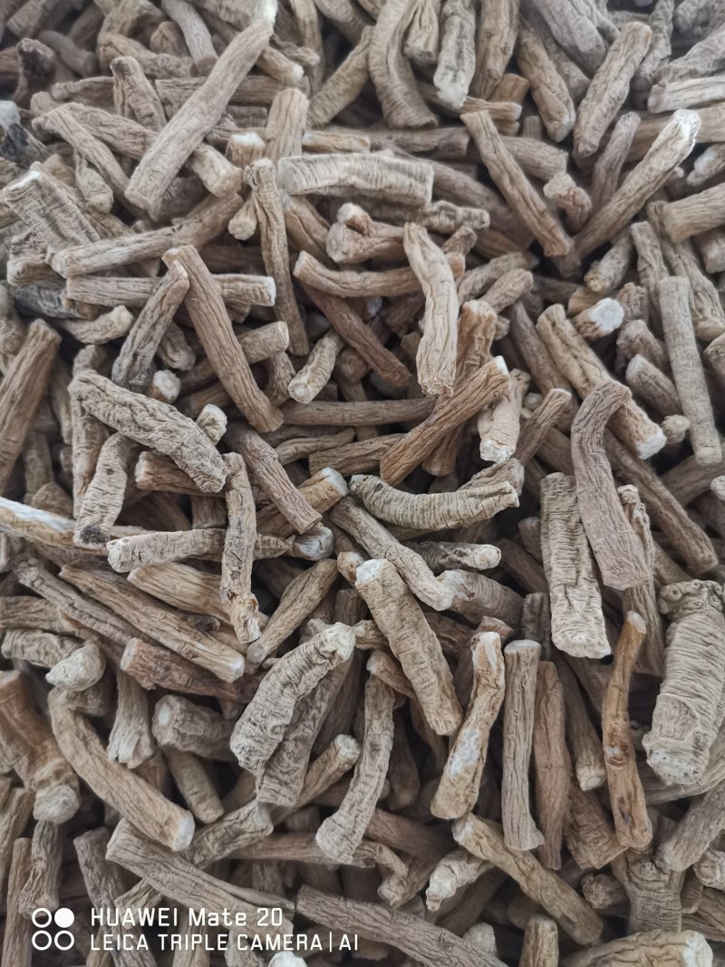 纯吉林东党，党参种子保证质量，产量高，品质好，含量足大白