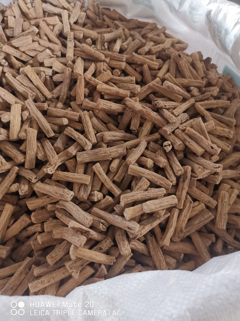 纯吉林东党，党参种子保证质量，产量高，品质好，含量足大白