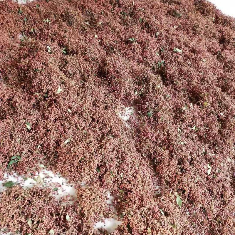 【热销】山东特级大红袍花椒产地直发货源充足颗粒大新货量大优惠