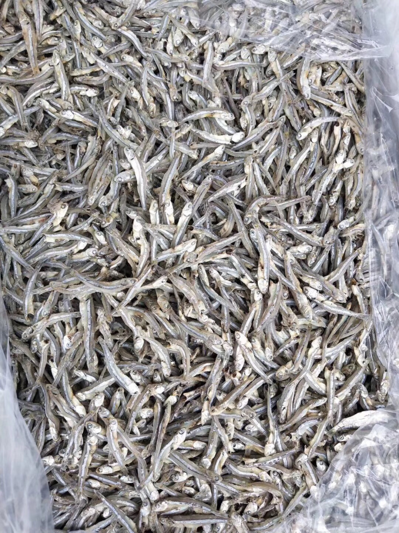 南澳岛。农村人精心制作优质饶仔鱼干。。。