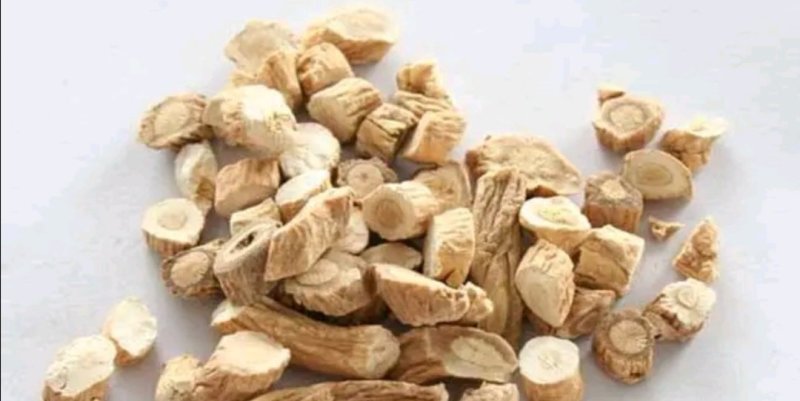 板蓝根种子直销，芽率好，保证质量，小叶大根，独自培育
