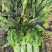 新技术，新机器，走进新农村