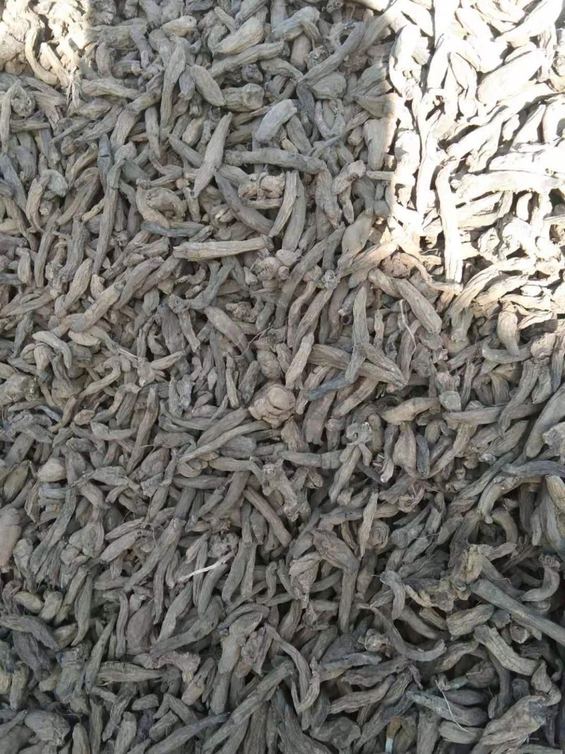 玄参，元参