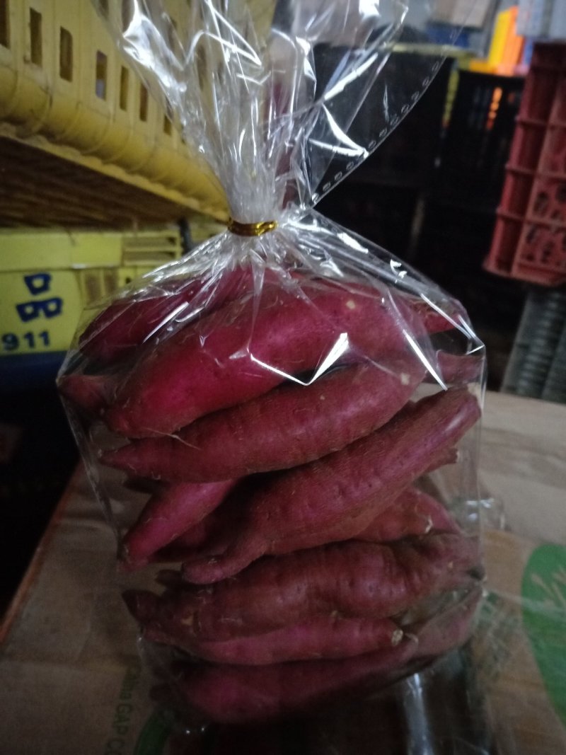 红薯苗（小香薯脱毒苗红皮黄心长势旺，心香脱毒苗）