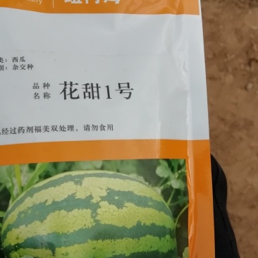 绿宝西瓜苗一件代发指导技术