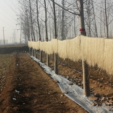 纯红薯粉自家种植红薯自家加工生产保证质量