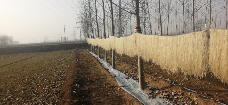 纯红薯粉自家种植红薯自家加工生产保证质量
