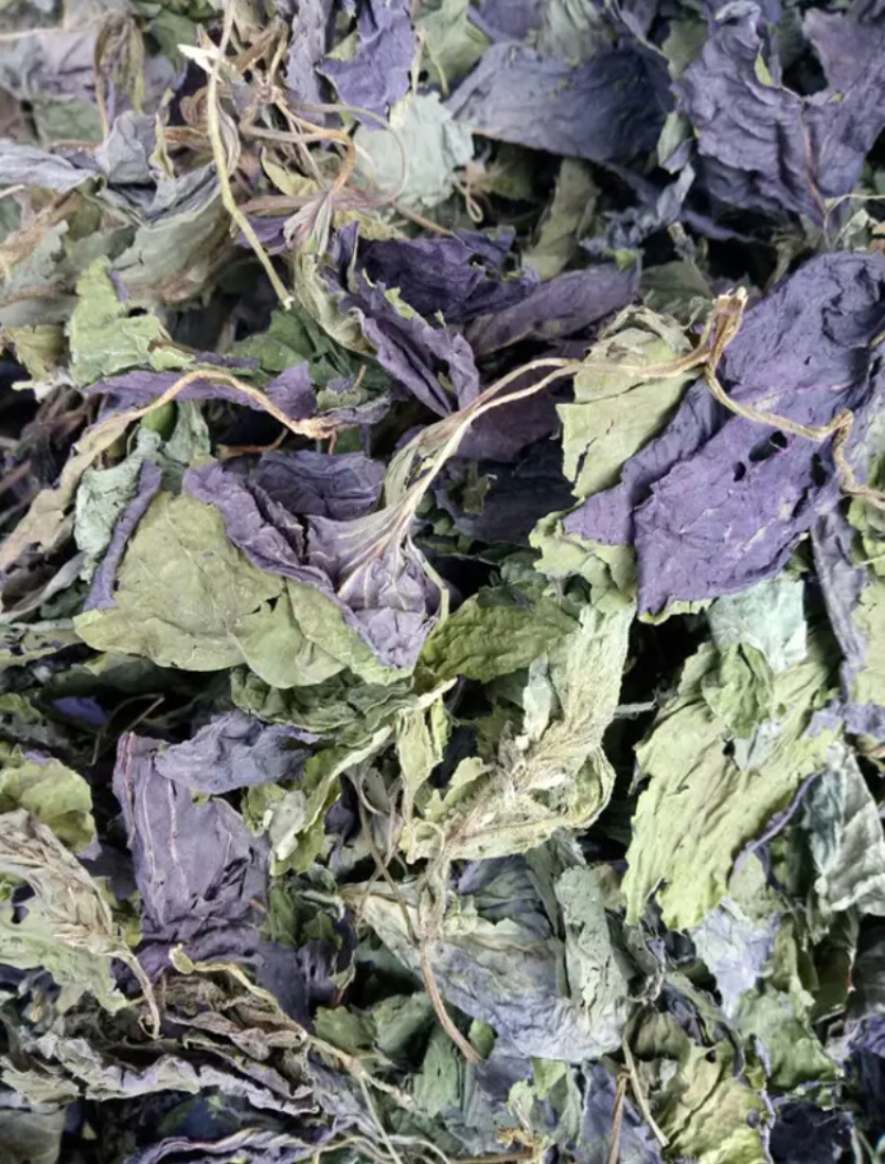 精品紫苏叶价格优惠便宜