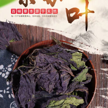 精品紫苏叶价格优惠便宜